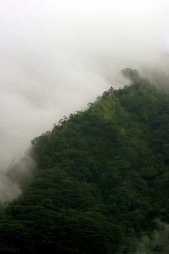 Manoa Valley betwen showers
